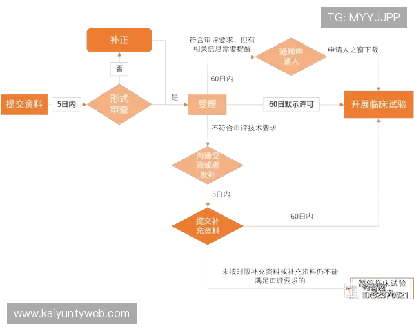 开云体育集团会员注册流程详解帮助新用户快速完成注册流程指南