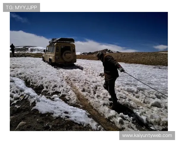 开云在线版全面解析：最新版本功能介绍与使用指南