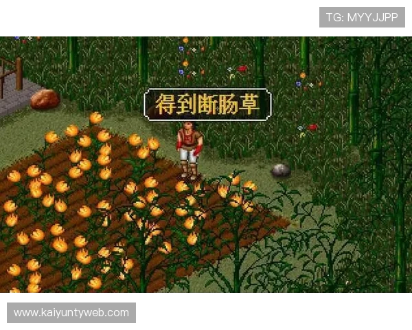 开云网址导航为游戏爱好者提供便捷的游戏分类和丰富的资源内容